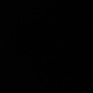 Meet your Posher, Rasheed